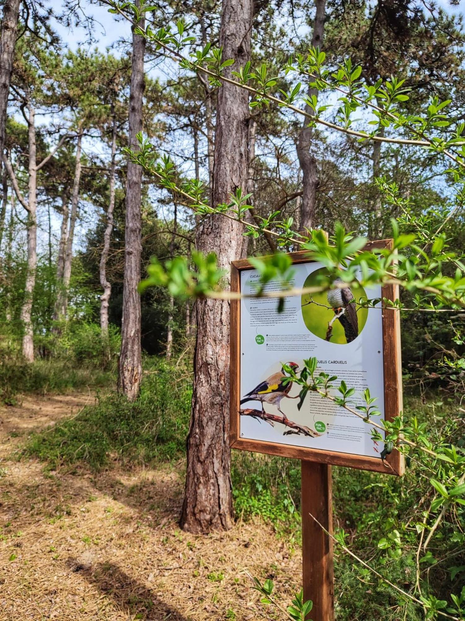 Green Village Eco Resort Λινιάνο Σαμπιαντόρο Εξωτερικό φωτογραφία